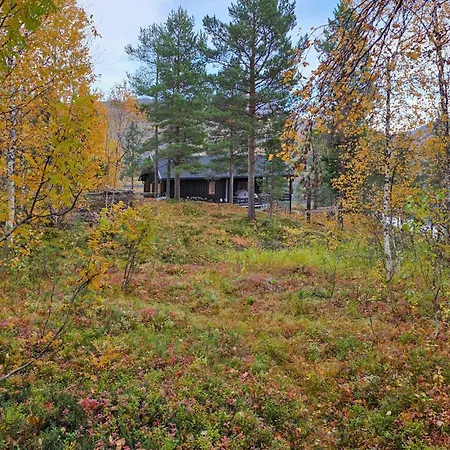 Cozy In With House A Mountain View Feriehus Overbygd
